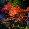 晩秋の山寺＃１