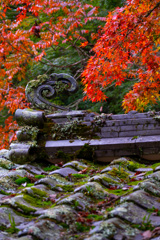 閑谷學校の紅葉２