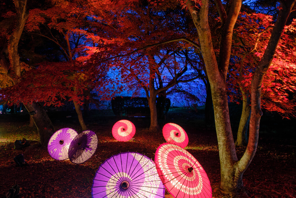 紅葉ライトアップ＃４