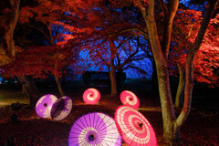 紅葉ライトアップ＃４