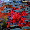 水面に浮かぶ紅葉＃２