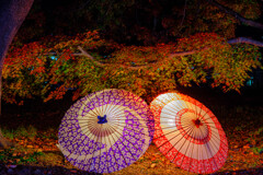 紅葉ライトアップ＃３
