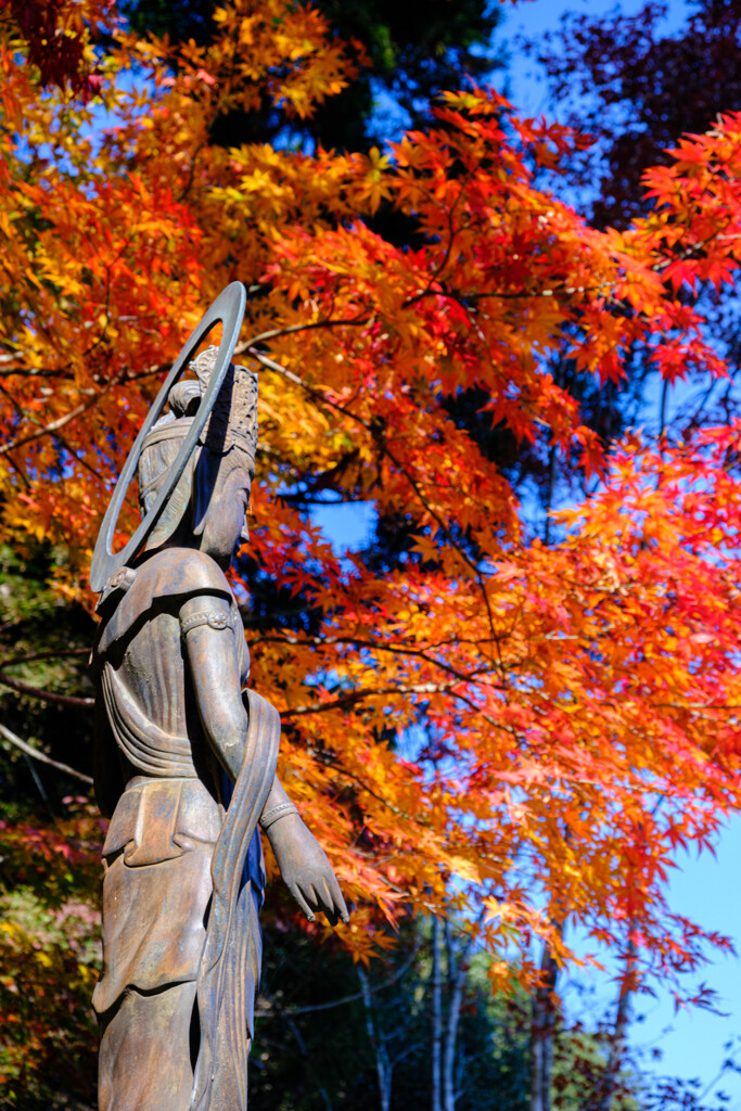 晩秋の山寺＃２