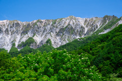 伯耆大山　鍵掛峠より南壁を望む