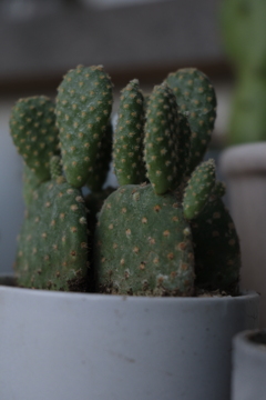 DSCF0045