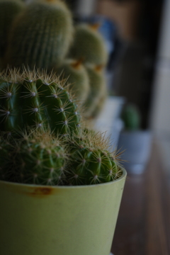 DSCF0038