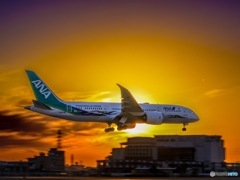 Boeing787-9 ANA future promise 