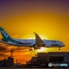Boeing787-9 ANA future promise 