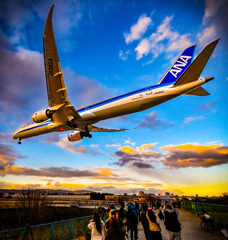 ナイスなお空