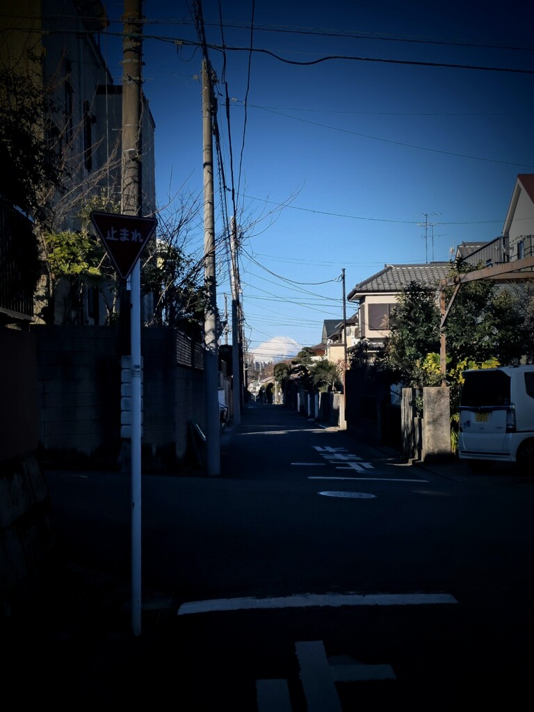 目を凝らすと富士