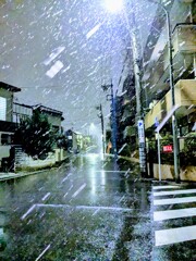 出なきゃよかった