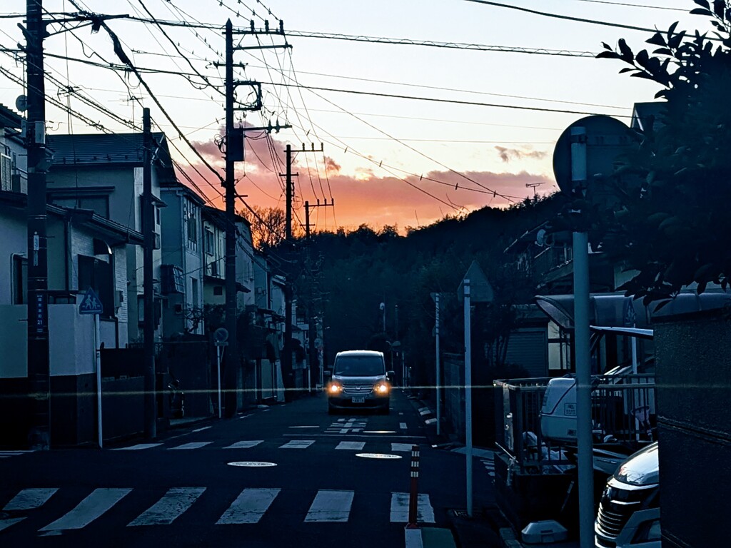 緋暮