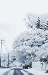 ある冬の朝