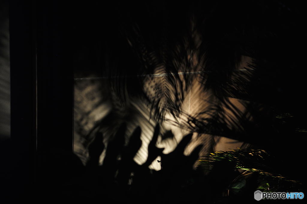 影のジャングル