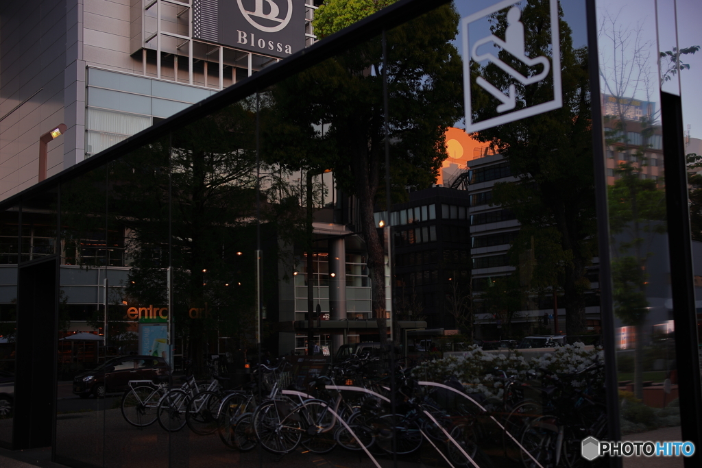 太陽を探せ