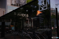 太陽を探せ