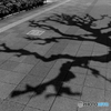 ルールを守って