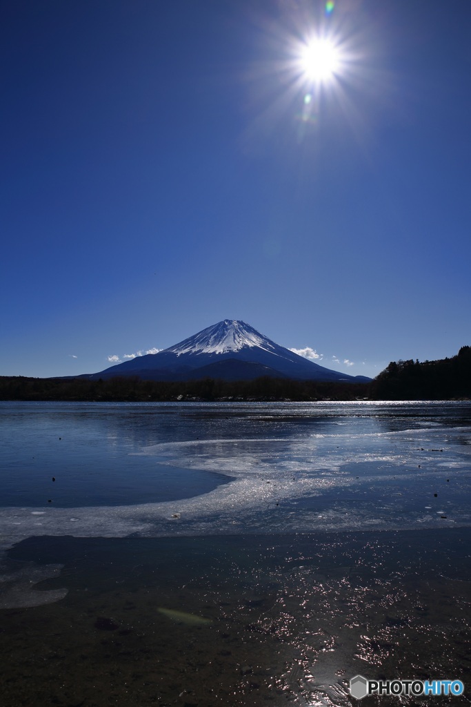 凍ってるね