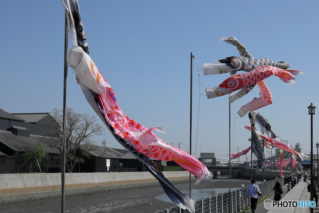 自由気ままに