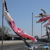 自由気ままに