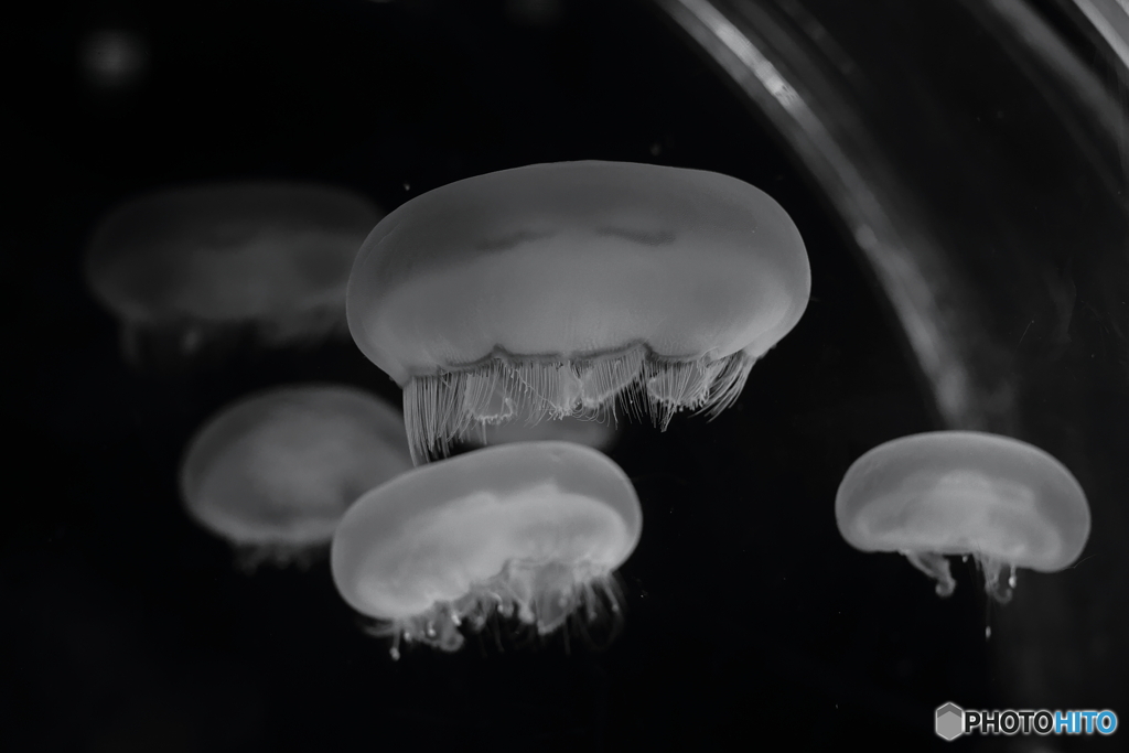 浮き沈みする　ふわふわした　お餅みたいなやつ（UFO）来襲