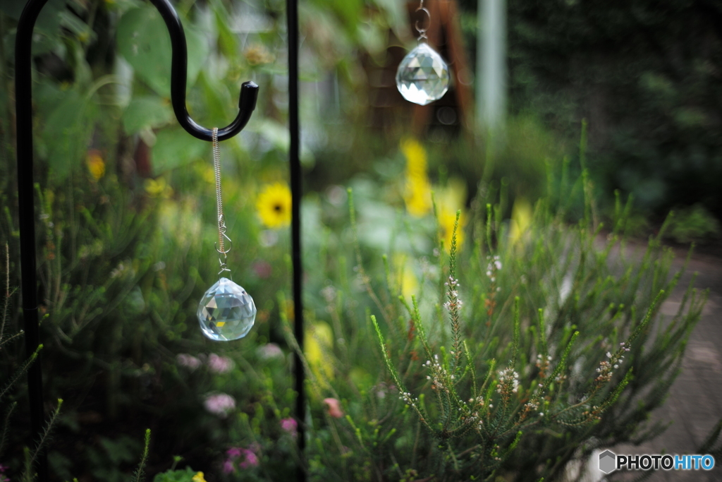 Bokeh