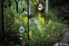 Bokeh