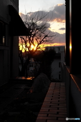 夕陽に染まる
