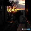 夕陽に染まる