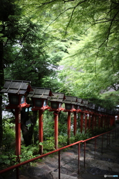 陽が差し込む場所