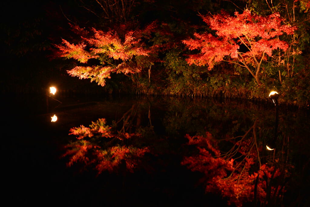 紅葉リフレクション