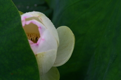 img_20220618173519721