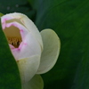 img_20220618173519721