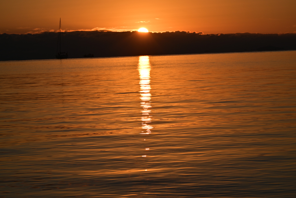 今年も良い年であります様に