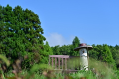 草原の先客