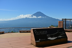 FUJI