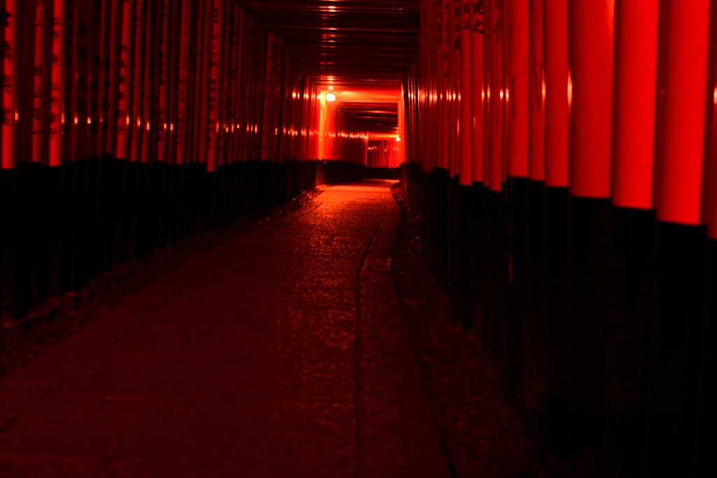 明りに誘われて