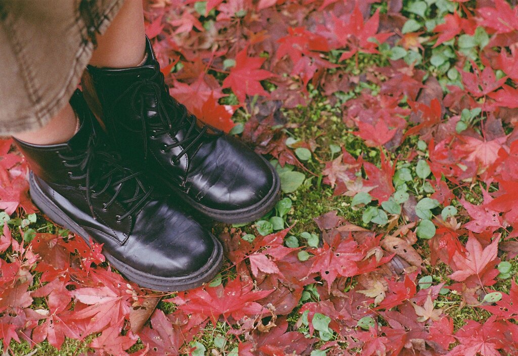 Autumn carpet
