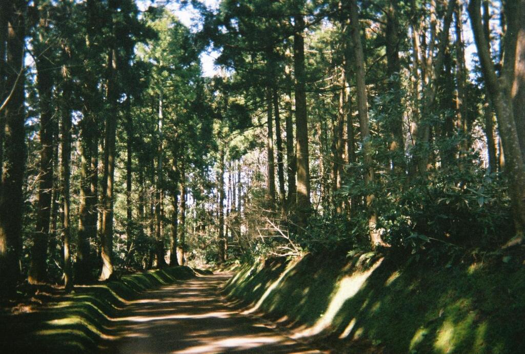 Nature