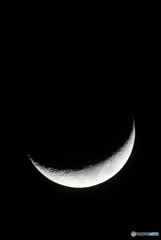 三日月_Z TELECONVERTER TC-2.0x