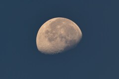 朝焼けの月_ZTCｘ1.4