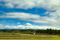2025.3.28富士山と棚田風景