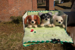 仲良し3人