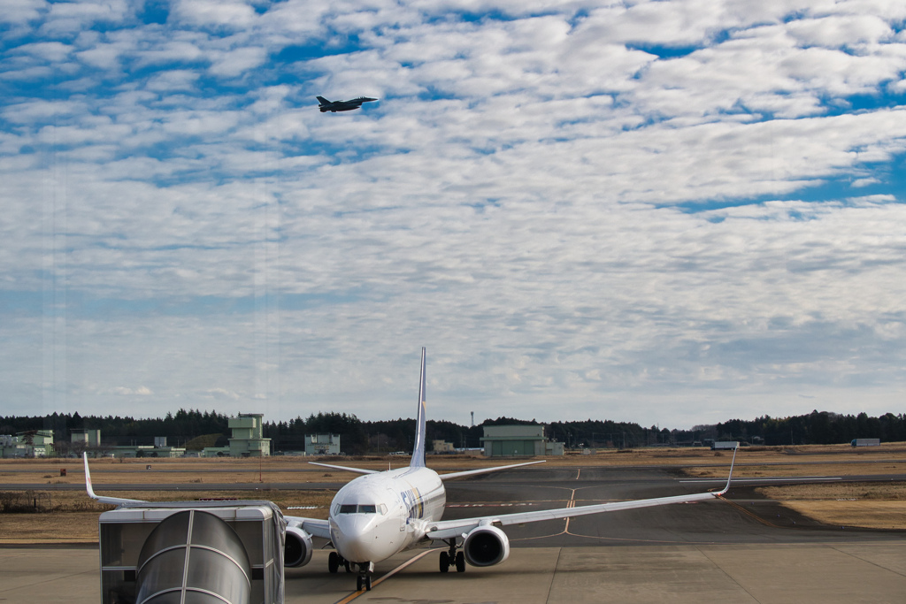 T2とB737－800