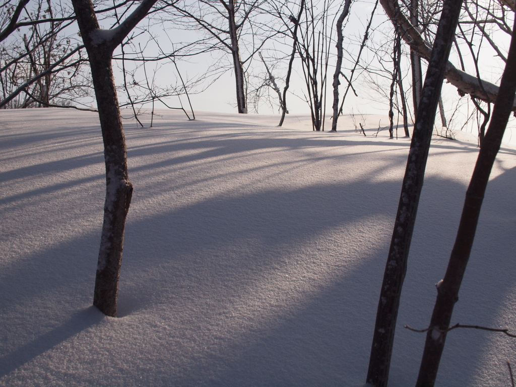 雪の裏磐梯３