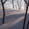 雪の裏磐梯３