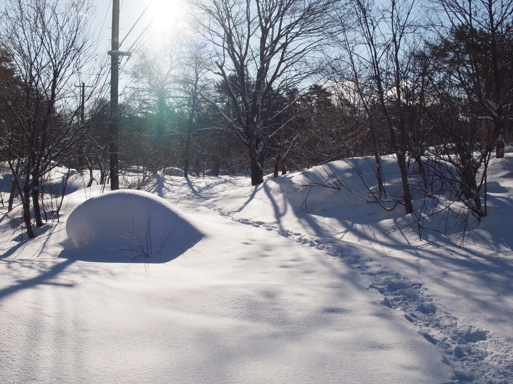 雪の裏磐梯１