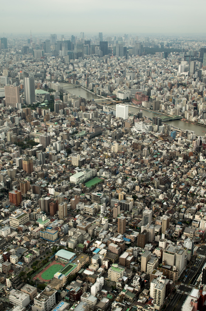 大、東京。