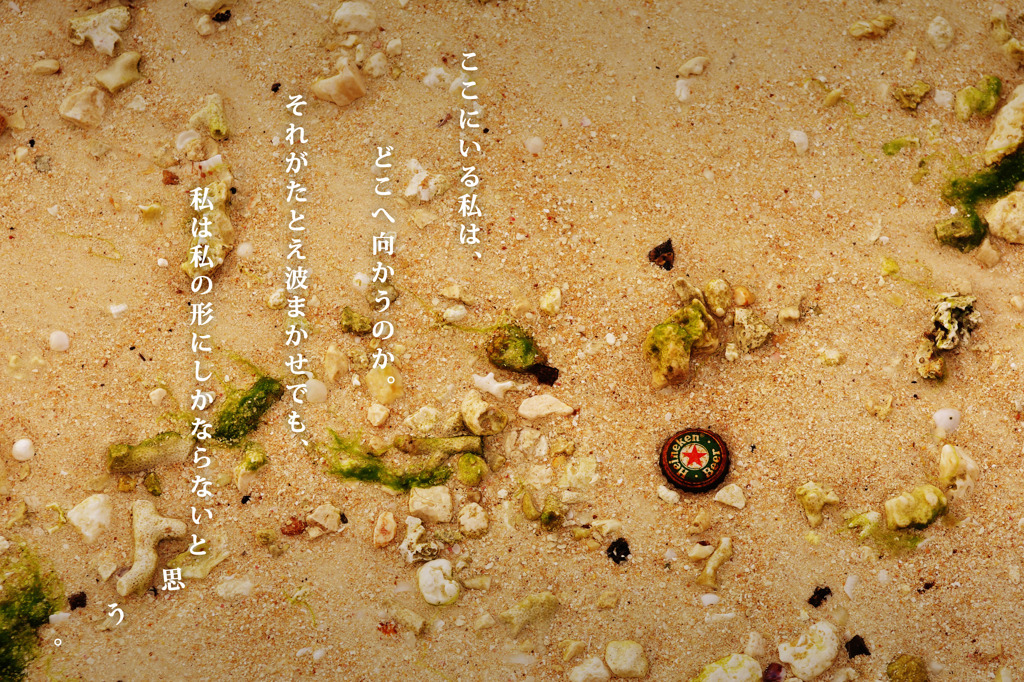 引き潮の王冠