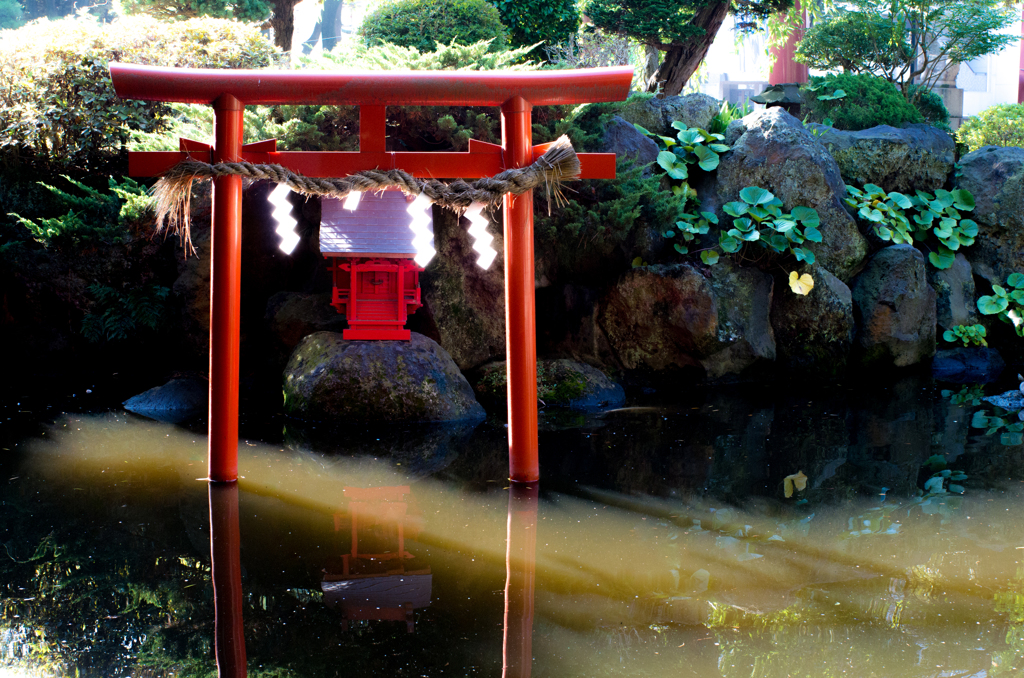 神社、散歩の朝